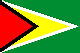 A national flag